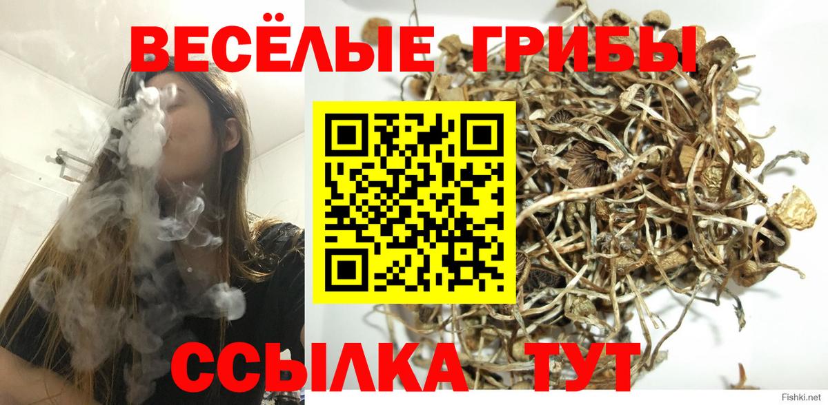 Псилоцибиновые грибы мицелий Лобня